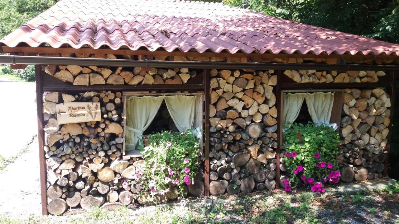 Appartment Bezenica Dobrova Bagian luar foto
